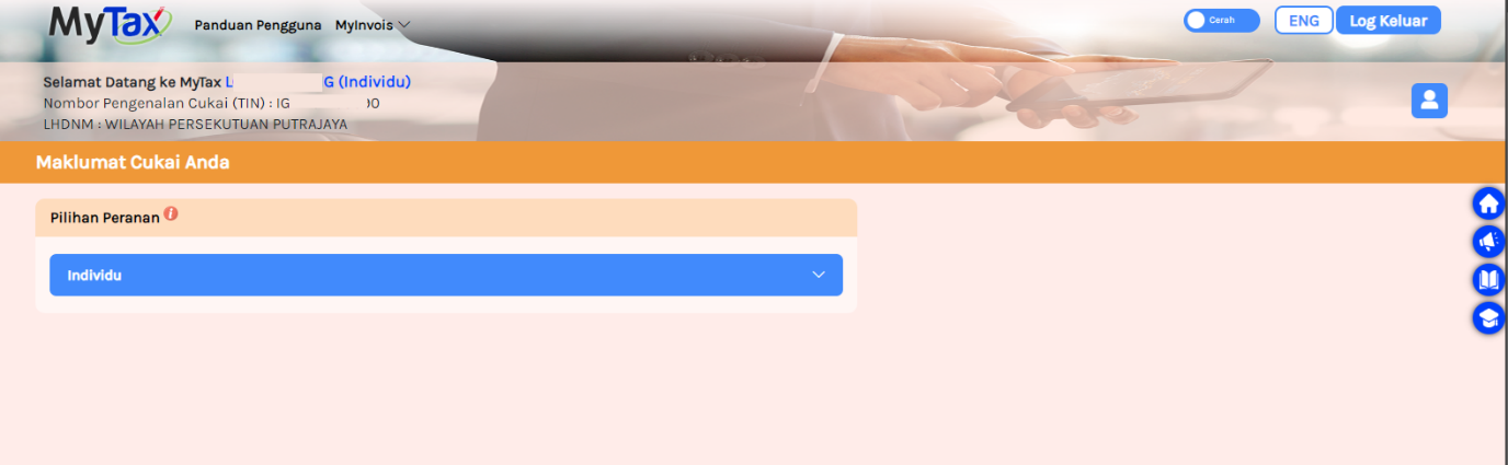 One Time Setup at MyInvois Portal – Knowledge Base | Financio