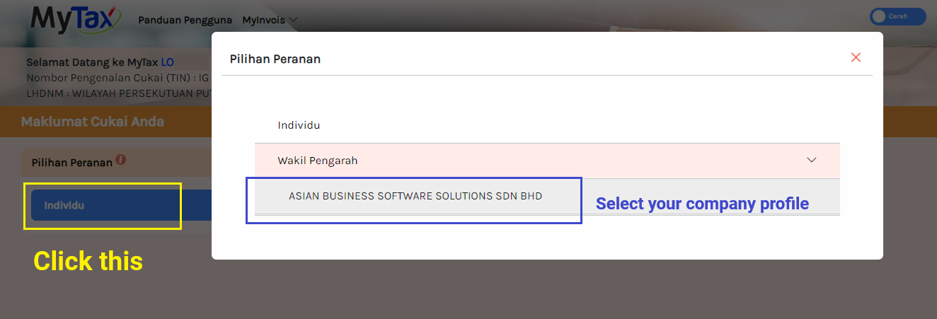 One Time Setup at MyInvois Portal – Knowledge Base | Financio