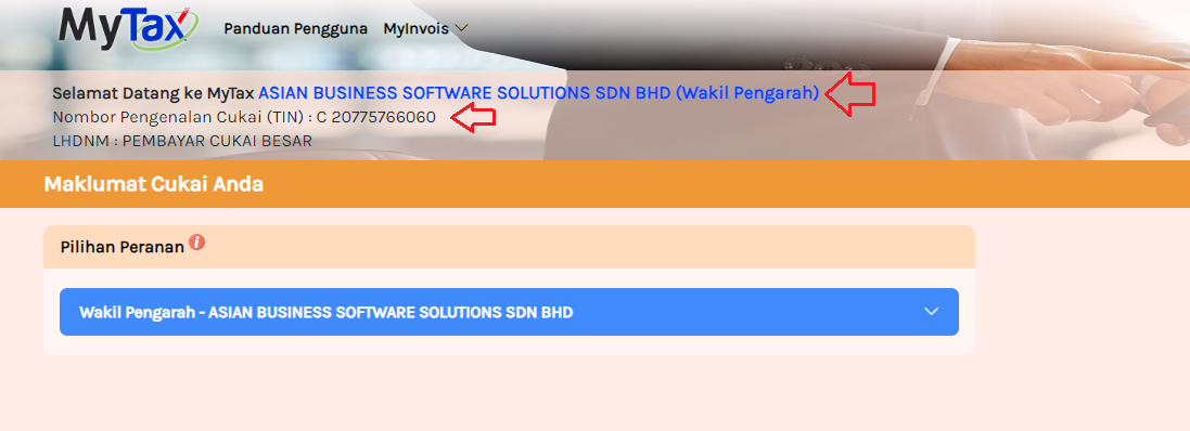 One Time Setup at MyInvois Portal – Knowledge Base | Financio